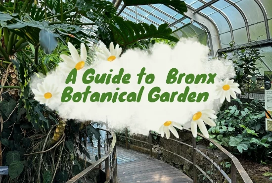 A Complete Guide to Bronx Botanical Garden 