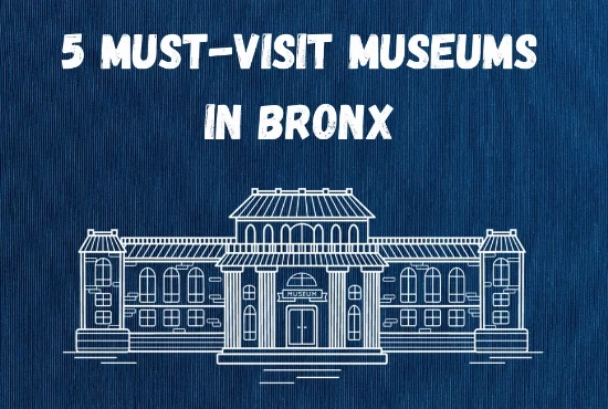 Top 5 Museums in Bronx, NY